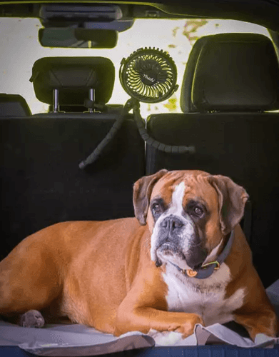 Tinkafu Vifte til barnevogn - sort