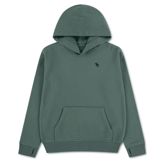Hovedbilde Abercrombie & Fitch hoodie  - laurel wreath