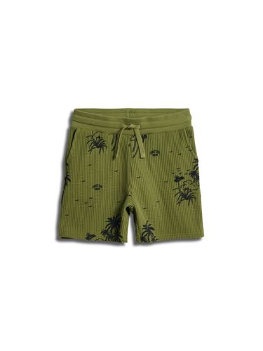 Sometime Soon Bahamas shorts - mayfly