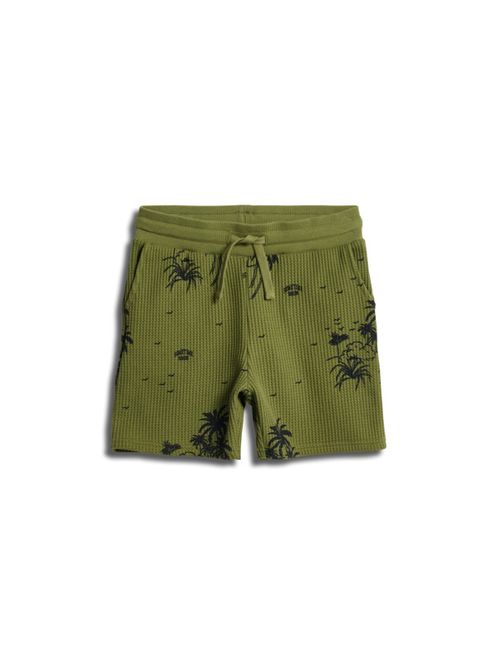 Hovedbilde Sometime Soon Bahamas shorts - mayfly