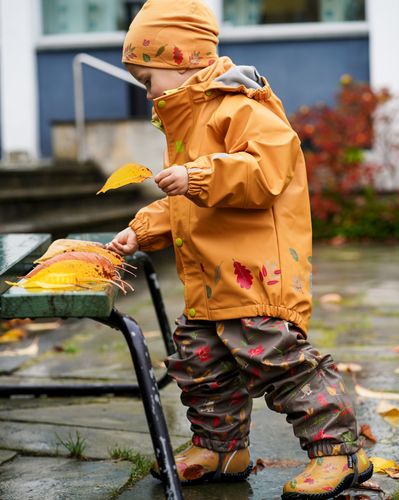 Kattnakken Plask regnsett Tolvmeterskogen - honning
