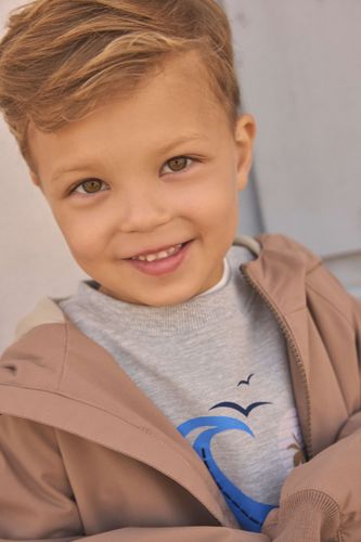 En Fant sweatshirt til barn - light grey melange